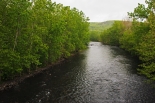 Naugatuck River